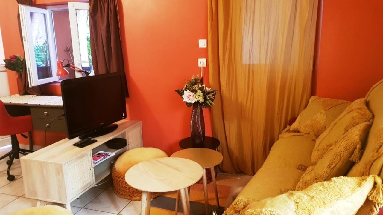 Petit Patio En Centre Ville ニーム エクステリア 写真