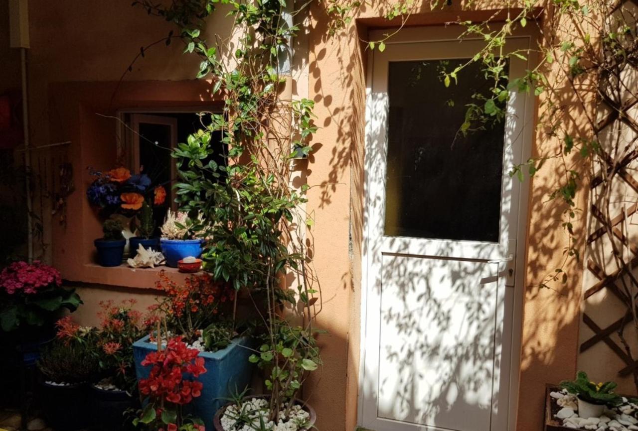 Petit Patio En Centre Ville ニーム エクステリア 写真